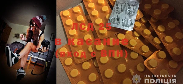 шишки Аркадак