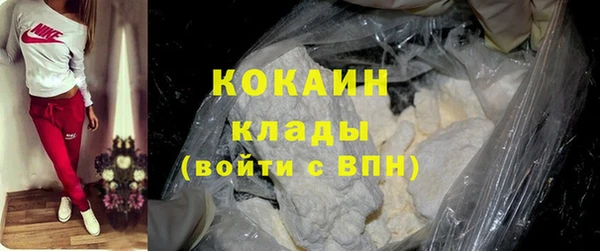 шишки Аркадак