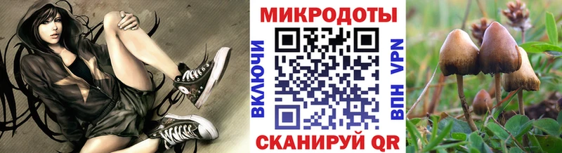 Псилоцибиновые грибы Magic Shrooms  Купить закладки  Стрежевой 